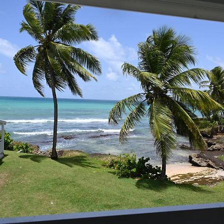 Studio Vue Sur Mer Fort D'Epee Le Gosier  Eksteriør bilde